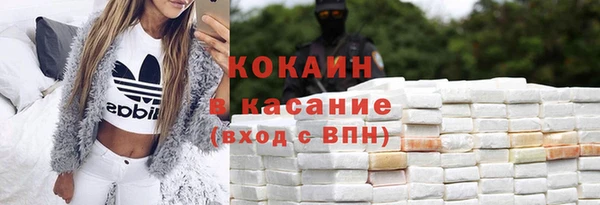 прущие грибы Алагир