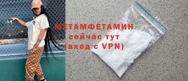 прущие грибы Алагир