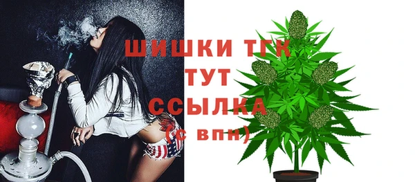 прущие грибы Алагир