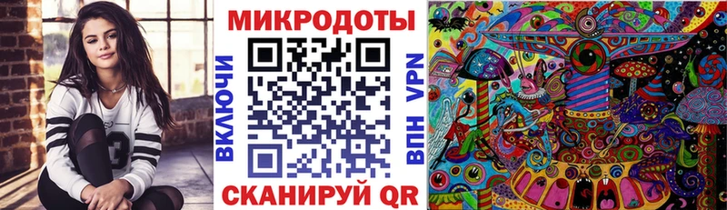 Псилоцибиновые грибы Psilocybine cubensis  Чадан 